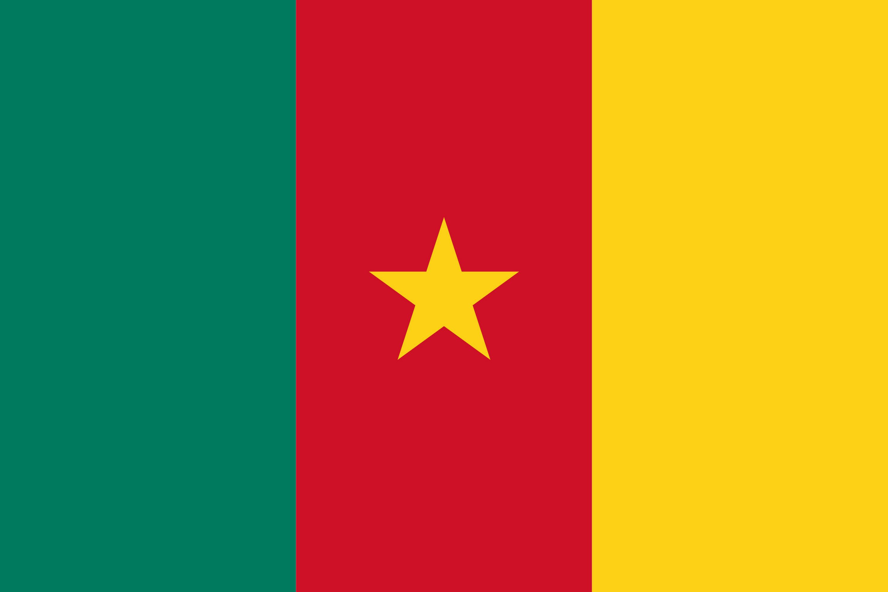 Drapeau du pays Cameroun