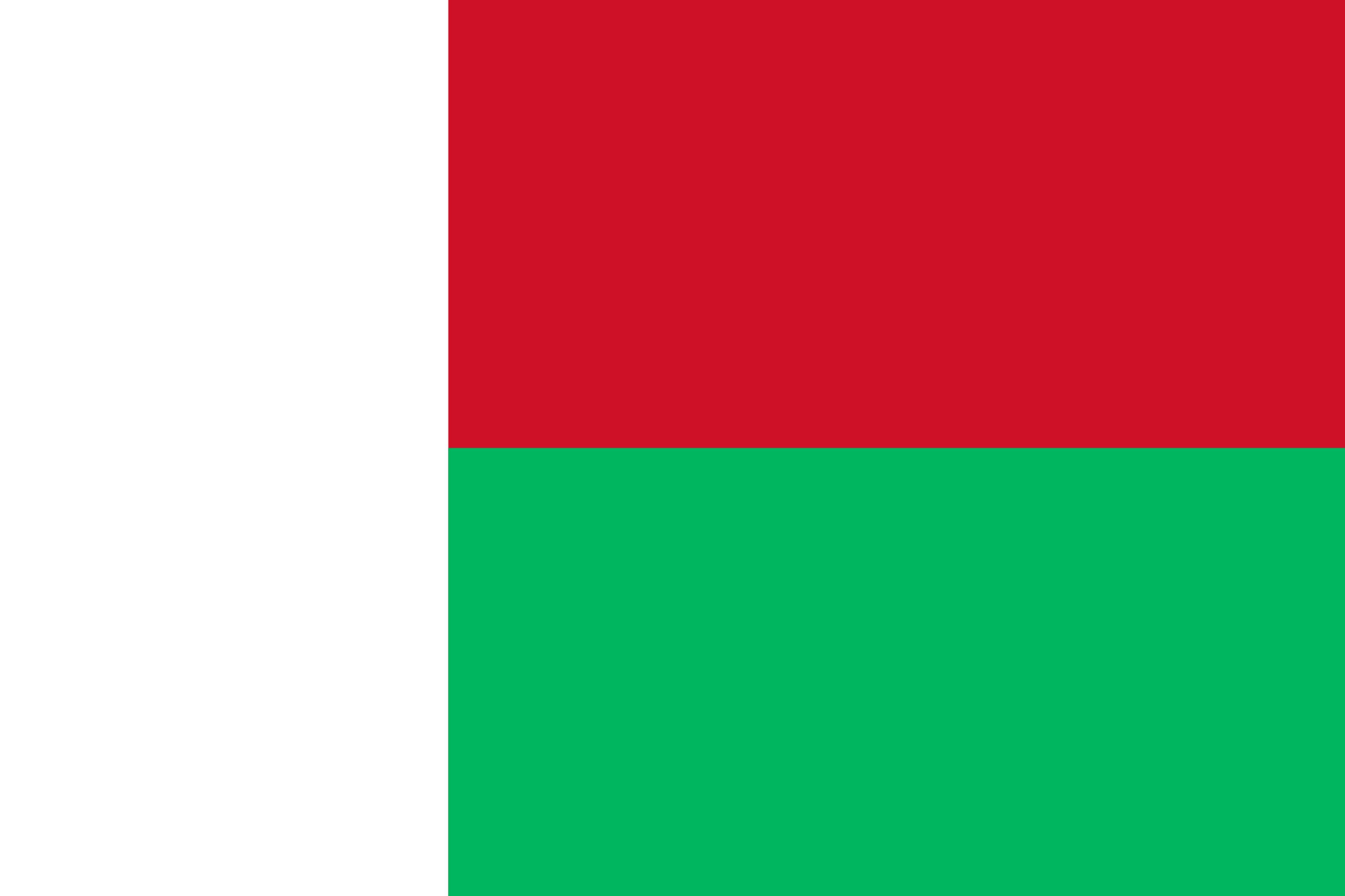 Drapeau du pays Madag.